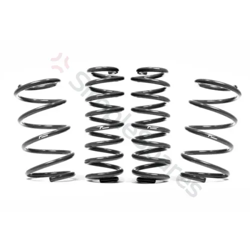 RacingLine Sports Spring Kit / Polo GTI AW VWR31P2GT - RAL-VWR31P2GT